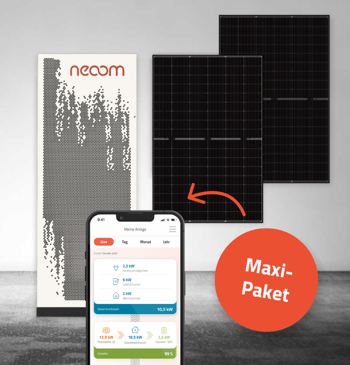 REENT_Direct_Offering_Maxi-Paket_KJUUBE_Light_ohne_Preise-2 REENT_Direct_Offering_Maxi-Paket_KJUUBE_Light_ohne_Preise-2